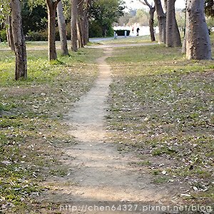 2025年2月份老倆口生活雜記(阿美飯店大S病逝武聖夜市山月