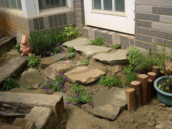 DSCN2485.JPG