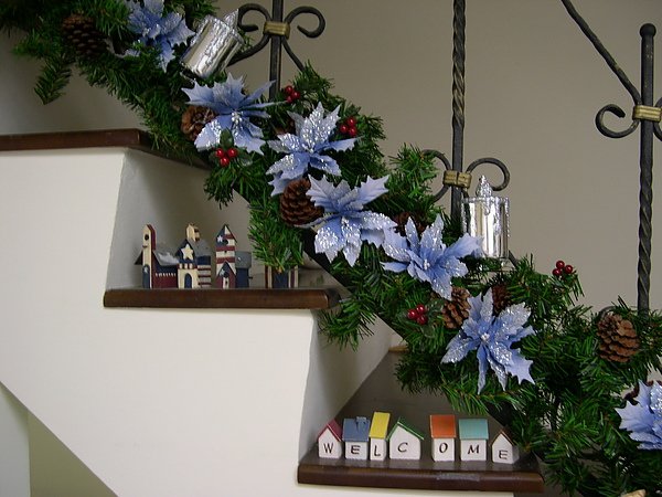 DSCN0596.jpg