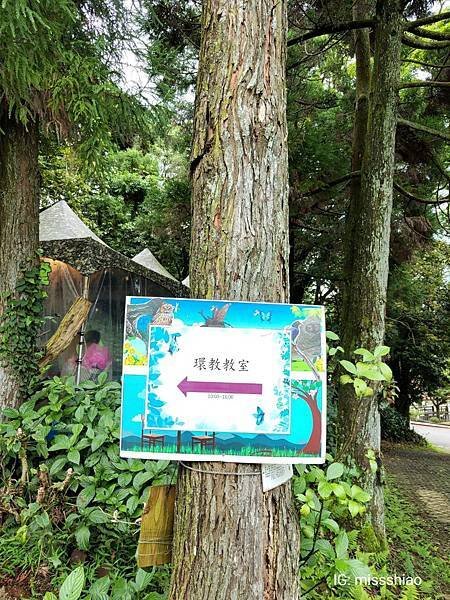 【住宿】台北懶人露營開箱『趣兒Chill：藍鵲菲菲-山林帳森