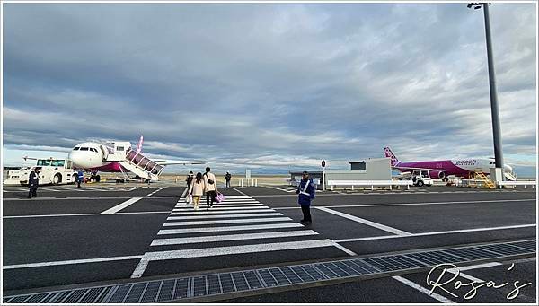 【2024關西賞櫻15】雨中奈良公園+關空二航