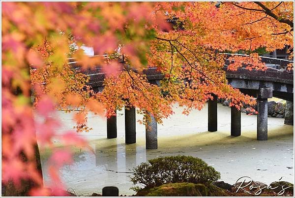 【2024楓迷京都02】南禪寺、知恩院