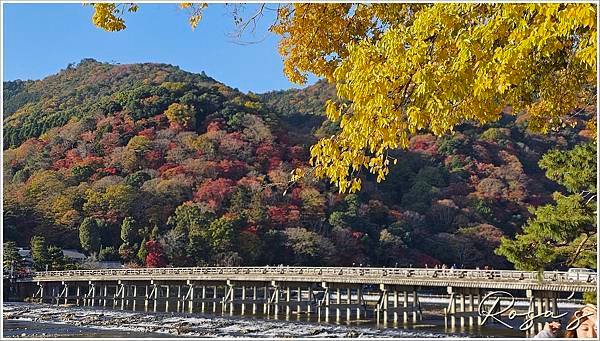 【2024楓迷京都04】嵐山地區與常寂光寺