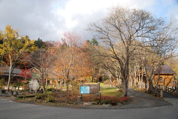 DSC_2680.JPG