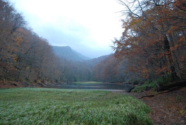 DSC_2789.JPG