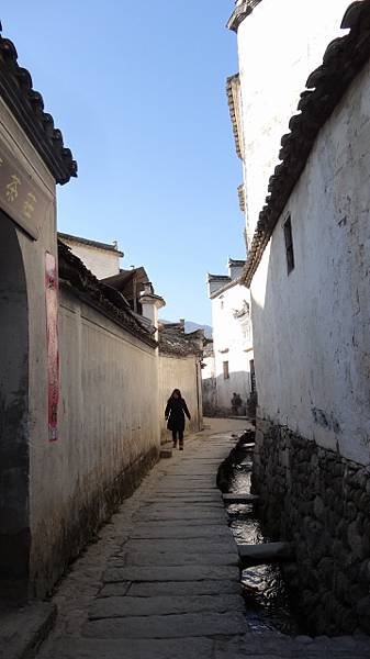 DSC06726
