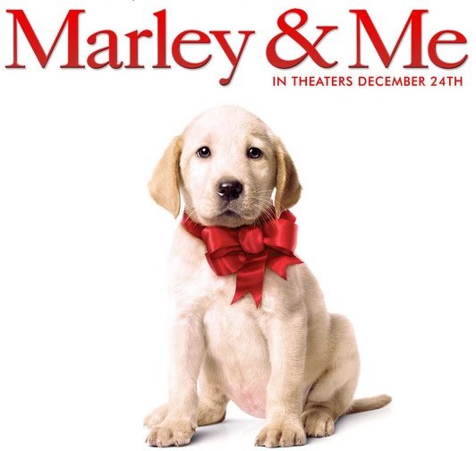 Marley and me