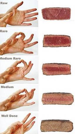 Steak Temperature