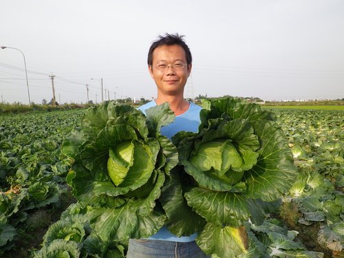 水林小陳