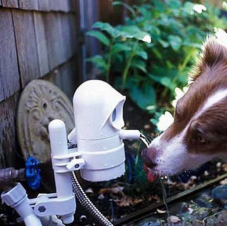 狗狗飲水機2