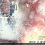IMG_4885