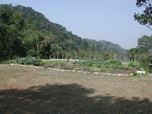 無患居庭園炭土之地改建溫網室 02.jpg