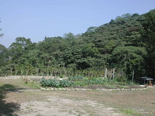 無患居庭園炭土之地改建溫網室 03.jpg