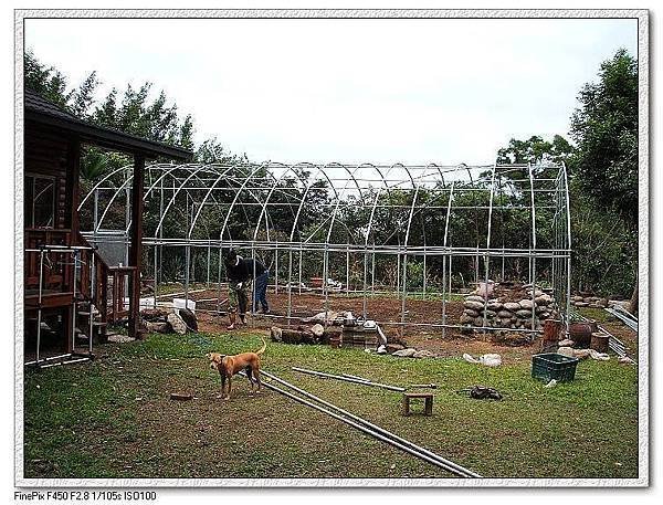 無患居搭建簡易溫網室.jpg