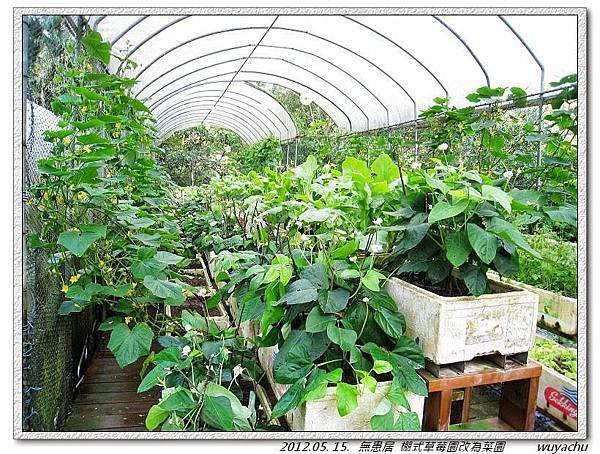 無患居簡易溫網室 01.jpg