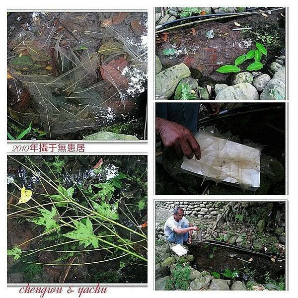山居歲月~另類的拈花惹草003.jpg