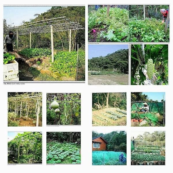2021-08-15  君子不器潛能無限 003.jpg