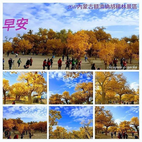 20220303  自製早安圖自娛娛人008.jpg