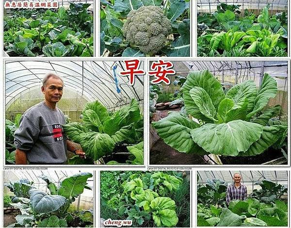 20220303  自製早安圖自娛娛人014.jpg