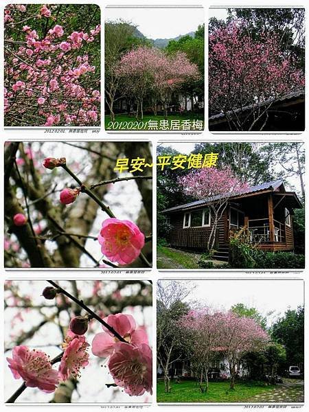 20220303  自製早安圖自娛娛人025.jpg