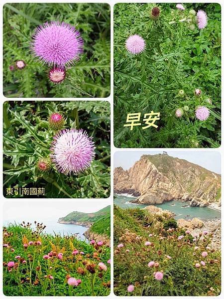 20220303  自製早安圖自娛娛人032.jpg