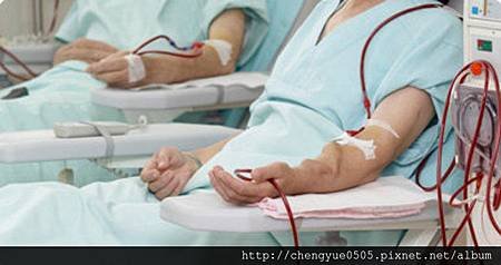 【分享】恐損害腎臟的8大不良習慣