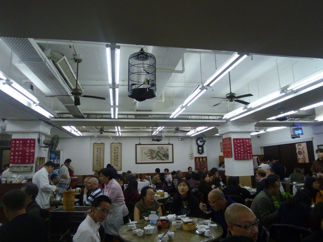 103.jpg