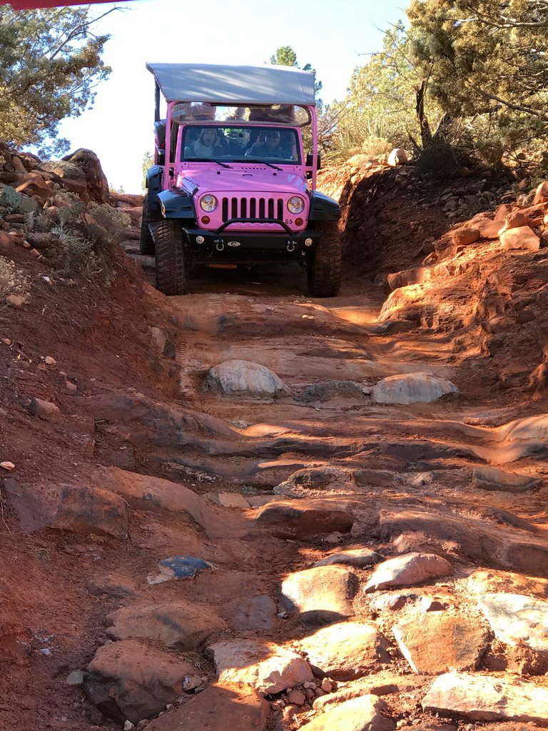 成寒 - pink jeep