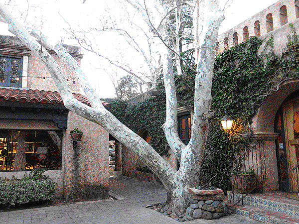 08-Tlaquepaque arts and crafts village-成寒