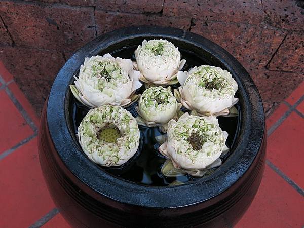 013-Malis Restaurant-柬埔寨金邊-成寒