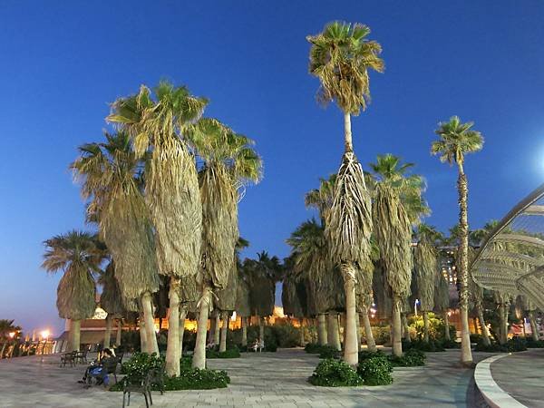 01-Tel Aviv, Tayelet (Promenade)-海濱步道-特拉維夫-以色列-Israel-成寒.JPG