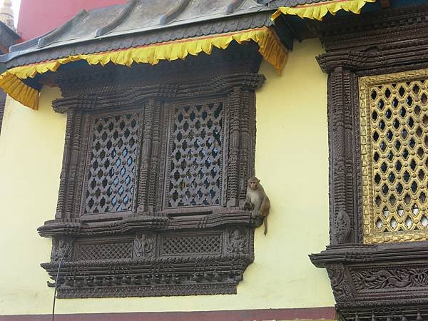 10-monkey temple-Kathmandu, Nepal-成寒.JPG