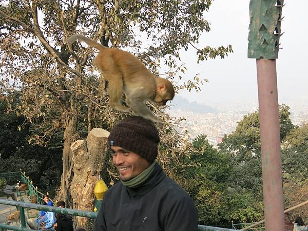 33-monkey temple-Kathmandu, Nepal-成寒.JPG