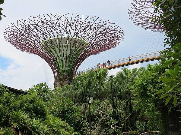 03-IMG_0249-Garden by the Bay, Singapore-成寒.JPG