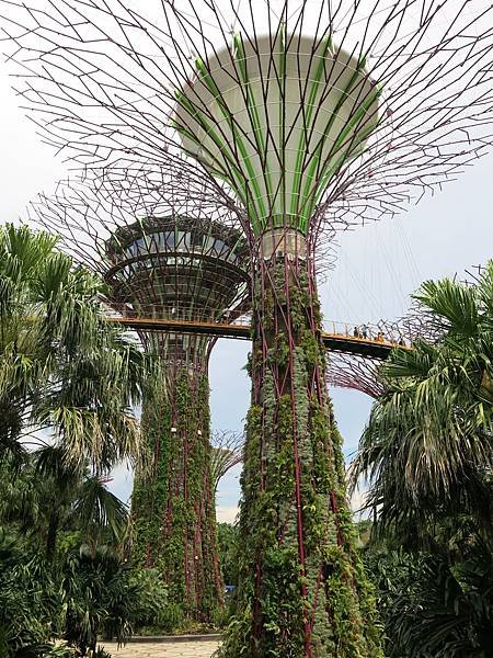 06-IMG_0253-Garden by the Bay, Singapore-成寒.JPG