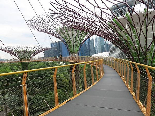 10-IMG_0281-Garden by the Bay, Singapore-成寒.JPG