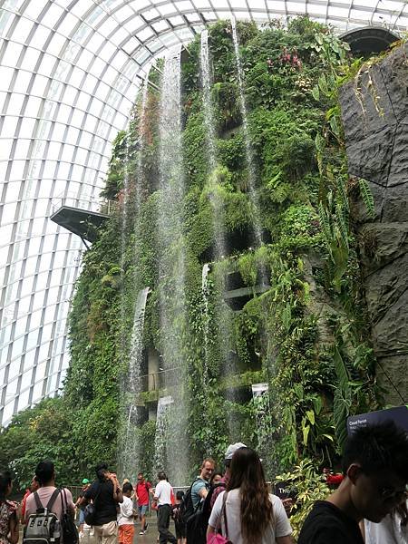 21-Garden by the Bay, Singapore-成寒.JPG