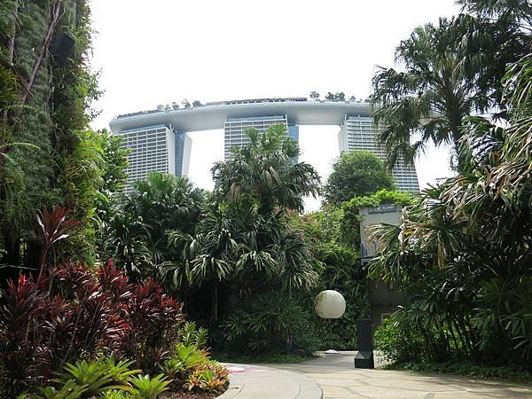 24-Garden by the Bay, Singapore-成寒.JPG