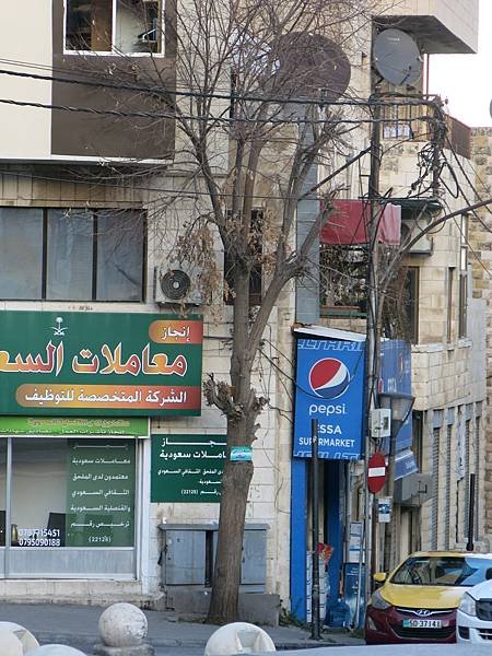 02-Rainbow Street-stray cat-Amman, Jordan-成寒.JPG