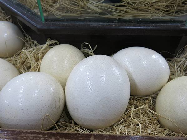 01-ostrich egg-King Abdullah I Mosque-Amman, Jordan-成寒.JPG