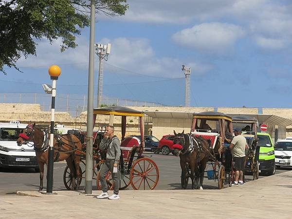 14-horse-drawn carriage-Malta-成寒.JPG