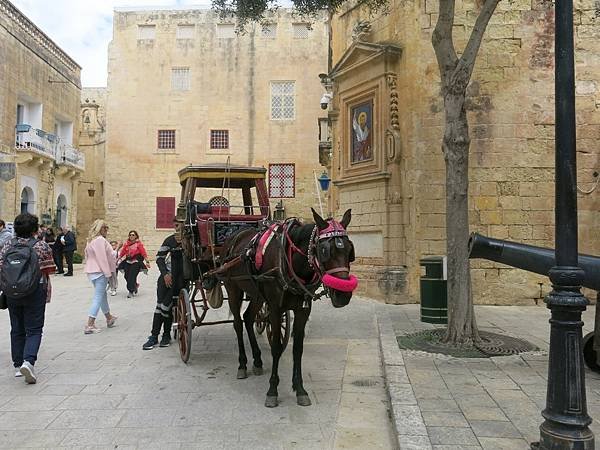 06-Mdina, Malta-馬爾他-成寒.JPG