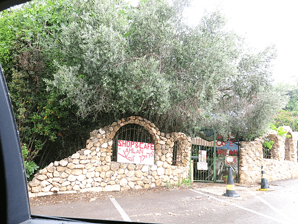 12-Kibbutz, Israel-以色列集體農場-成寒.png