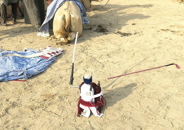 07-robot jockey-camel race-Qatar-成寒.png