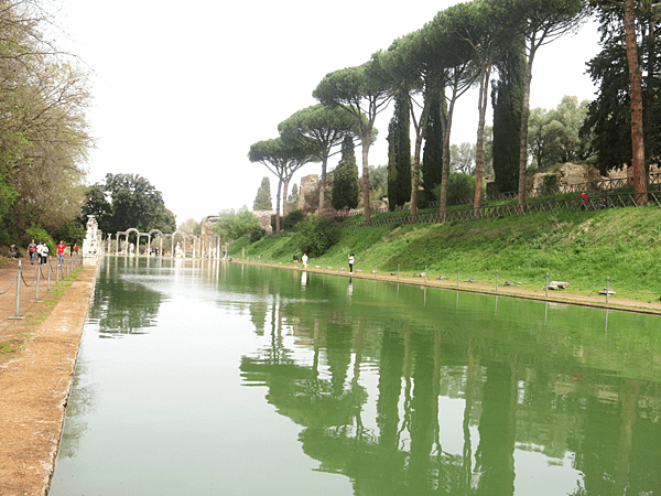 06-stone pine 笠松、傘松-Italy 義大利-成寒.JPG.png