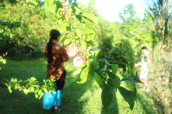 17-Dinner with local family-Lithuania-立陶宛-成寒.png