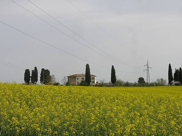 017-Lucignano, Italy-路其亞-義大利托斯卡尼-成寒.JPG