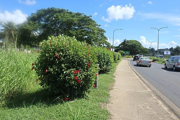 02-Raintree-fiji-斐濟-成寒.JPG