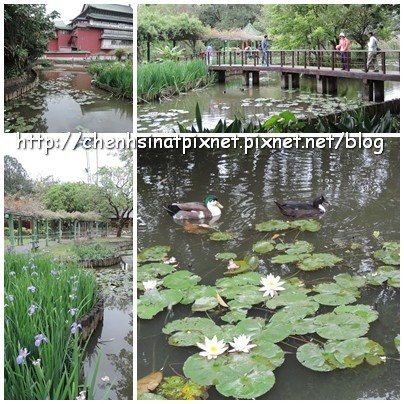 05-1040315植物園01.jpg