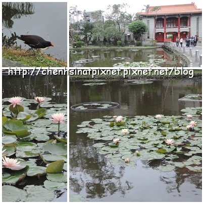 04-1040315國立台灣藝術教育館01.jpg